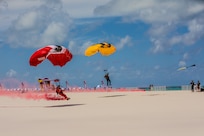 Flying Tigers over Miami Beach: Army Reserve’s daring display at Hyundai Air & Sea Show
