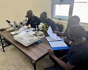 WRAIR-Africa entomologists conduct field identification of insects collected near Justified Accord cantonment area.