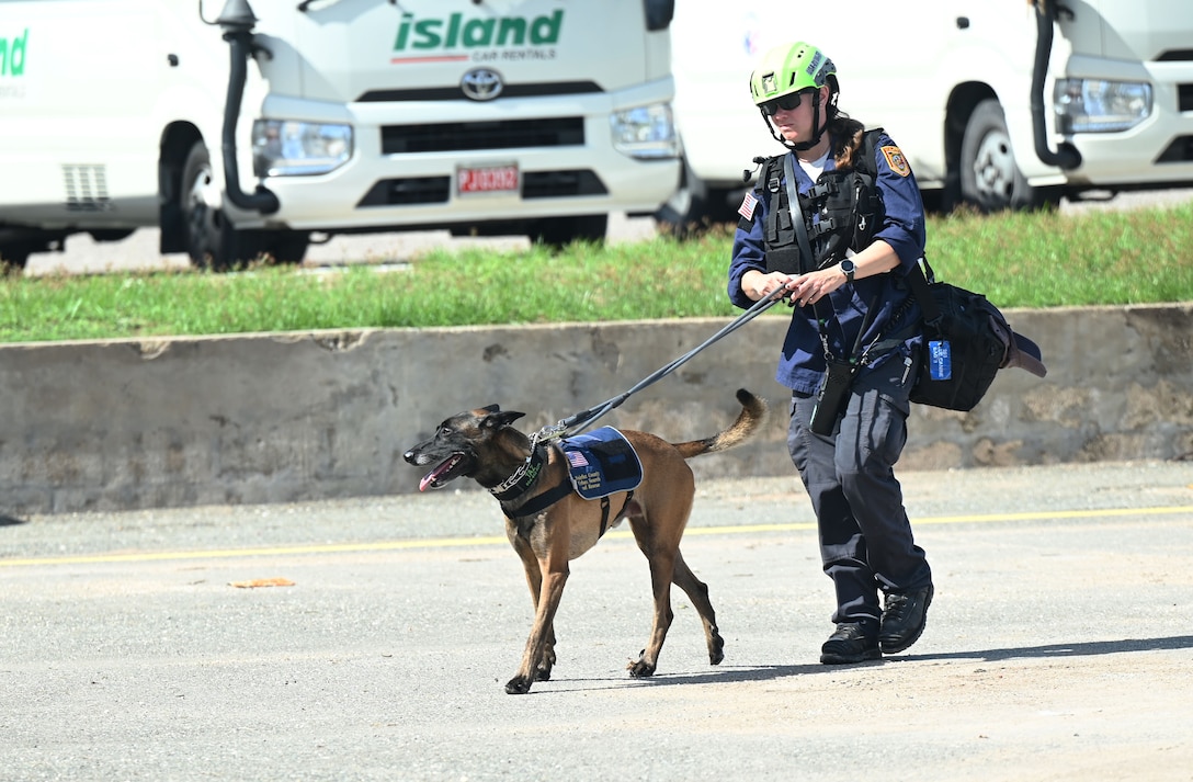 A woman walks a dog.