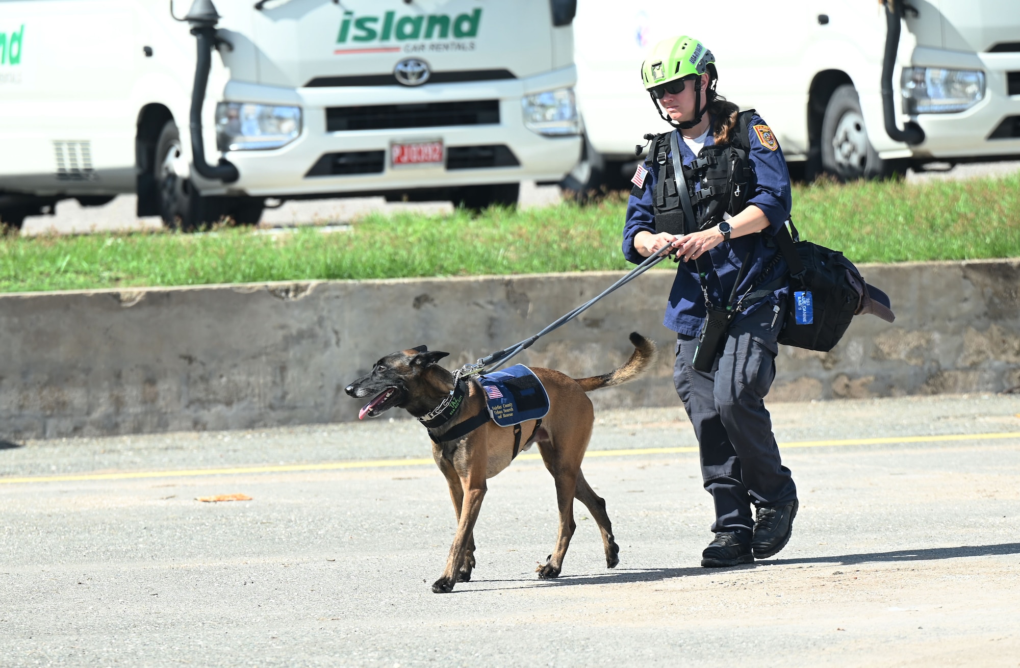 A woman walks a dog.