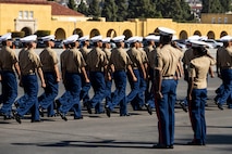 India Company Graduation