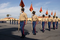 India Company Graduation