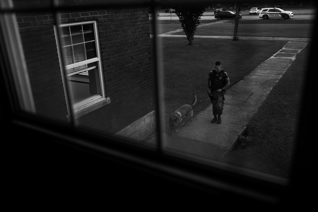 U.S. Marine Corps Cpl. Zachary Phillips, a military working dog (MWD) handler, Marine Corps Installations East-Marine Corps Base (MCB) Camp Lejeune, and MWD Csonti walk toward a building holding a simulated aggressor on MCB Camp Lejeune, North Carolina, July 21, 2025. During building search training, Phillips and Csonti rehearse locating threats and pursuing potential perpetrators, sharpening their instincts for real-world law enforcement and security scenarios. (U.S. Marine Corps photo by Lance Cpl. Alyssa J. DeCrane)