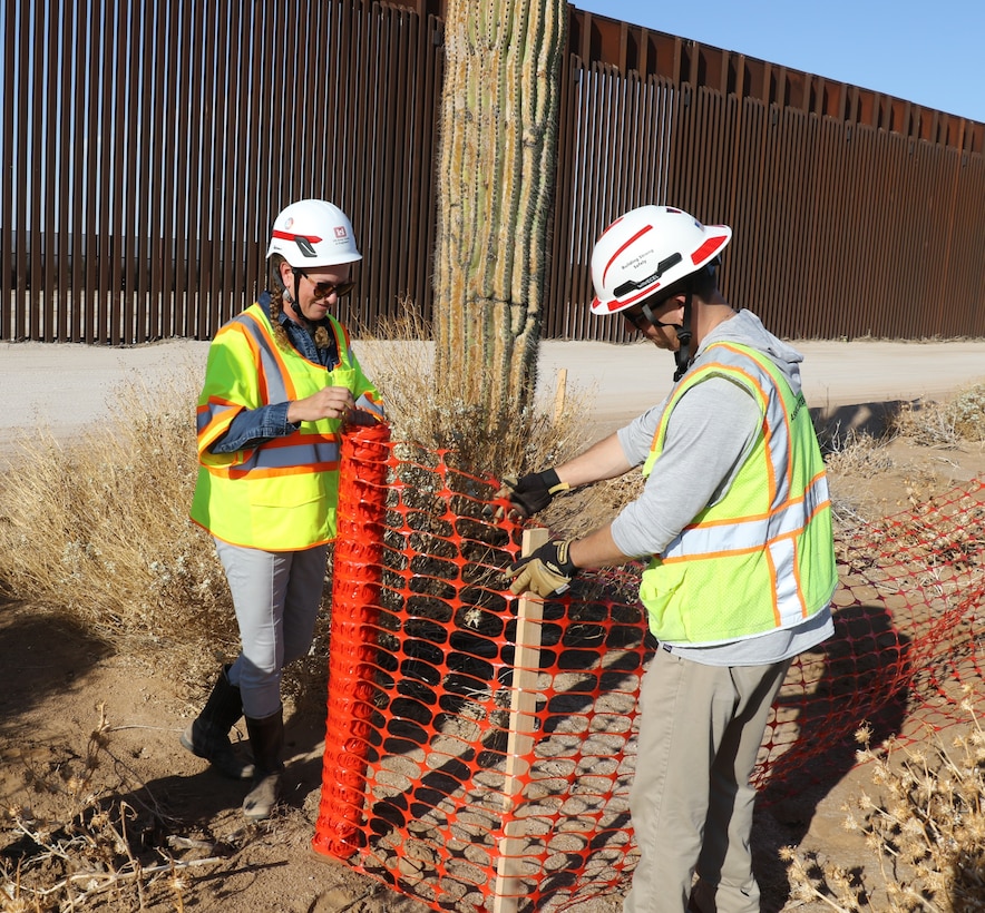 U.S. Army Corps of Engineers South Pacific Border Task Force required safety fencing around a Saguaro, a protected plant species in the state of Arizona, during the BMGR-1 project’s environmental survey near Yuma, Arizona, Aug. 26. USACE is replacing permanent border barriers along the southern border of the U.S. at the direction of the U.S. Army by the Secretary of War, in response to the presidential national emergency declaration dated Jan. 20, 2025, authorizing the use of Section 2803 of Title 10, U.S. Code. (Photo by Robert DeDeaux USACE PAO)