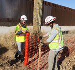U.S. Army Corps of Engineers South Pacific Border Task Force required safety fencing around a Saguaro, a protected plant species in the state of Arizona, during the BMGR-1 project’s environmental survey near Yuma, Arizona, Aug. 26. USACE is replacing permanent border barriers along the southern border of the U.S. at the direction of the U.S. Army by the Secretary of War, in response to the presidential national emergency declaration dated Jan. 20, 2025, authorizing the use of Section 2803 of Title 10, U.S. Code. (Photo by Robert DeDeaux USACE PAO)