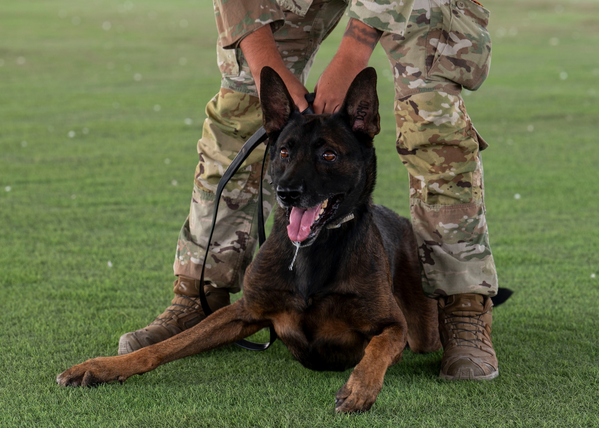 A man in a military unifrom holds the collar of a large black and brown dog that lays between his legs.
