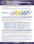 DCSO flyer provides information on what is procured, where to find procurement opportunities, major spend patterns, training opportunities, and contact info.