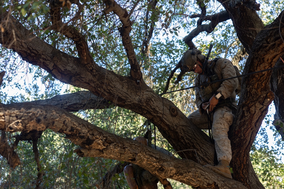 U.S. Marine Corps Cpl. Christophe Edwards, a grenadier with 1st Light Armored Reconnaissance Battalion, 1st Marine Division, adjusts his safety line during a tactical recovery of aircraft and personnel course at Marine Corps Base Camp Pendleton, California, Nov. 6, 2025.