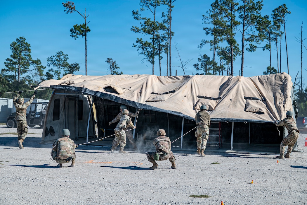 Mosaic Tiger kicks off