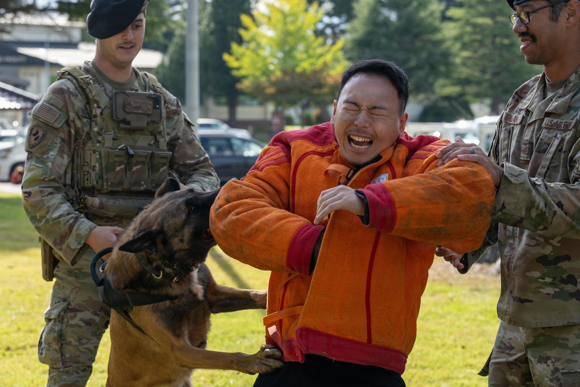 A Japanese National Police Special Investigation Team member is bitten by Clinton, 35th Security Forces Squadron military working dog, as part of a demonstration during a joint special weapons and tactics training event.