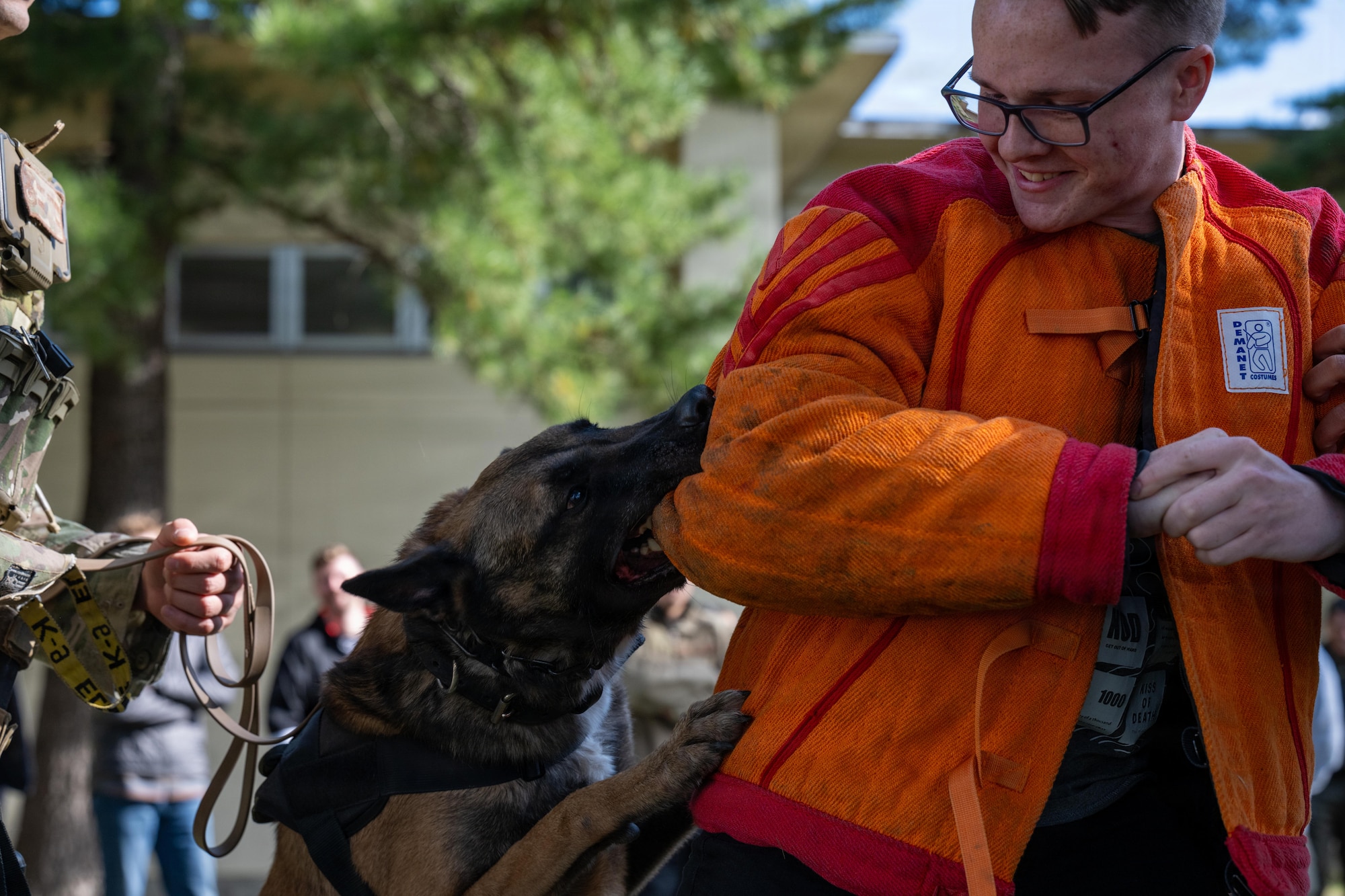 Clinton, 35th Security Forces Squadron military working dog, watches a target as part of a demonstration during a joint special weapons and tactics training event.