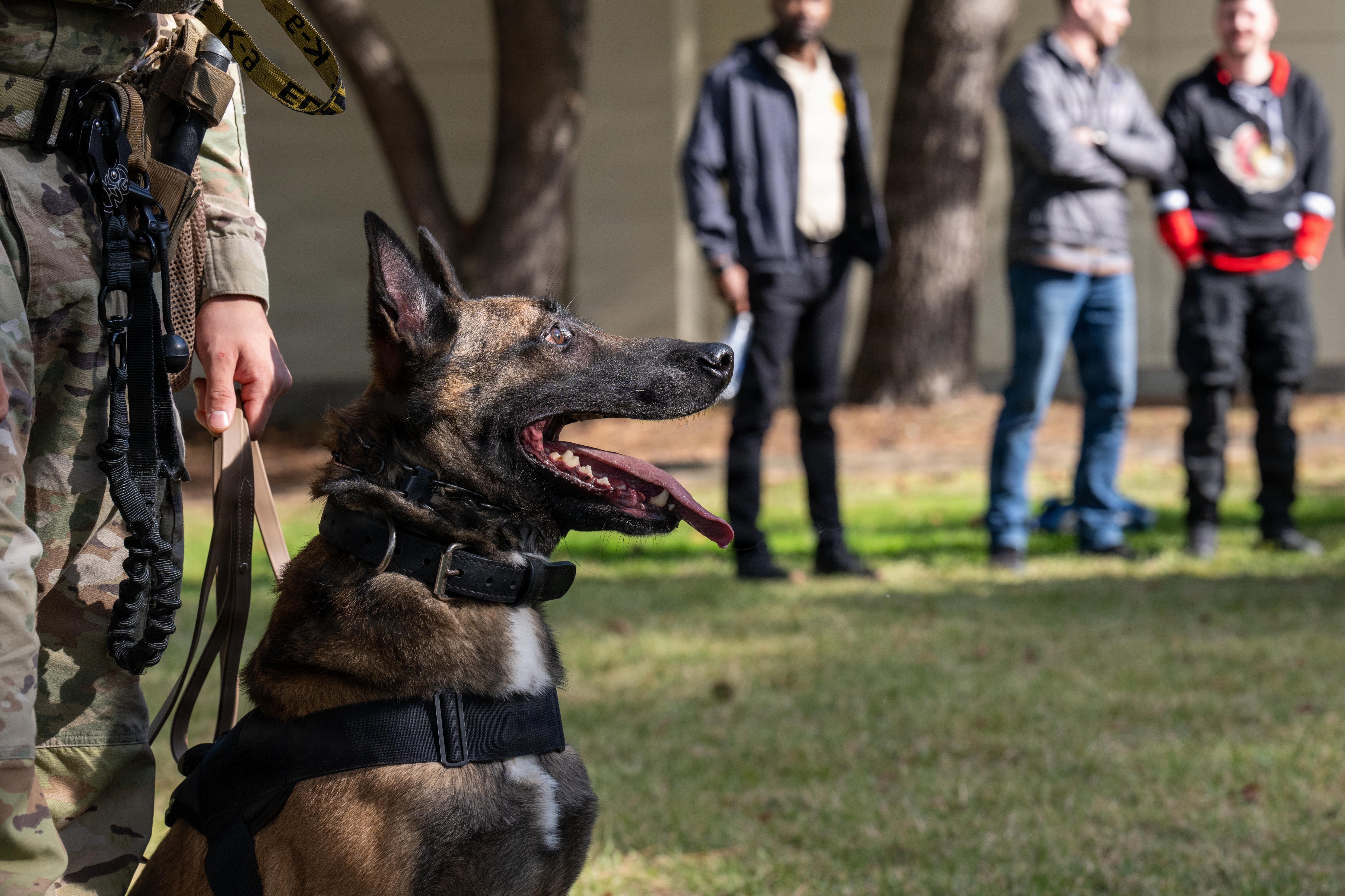Loyal to the Mission: 35th FW K-9s strengthen ties with Japanese
