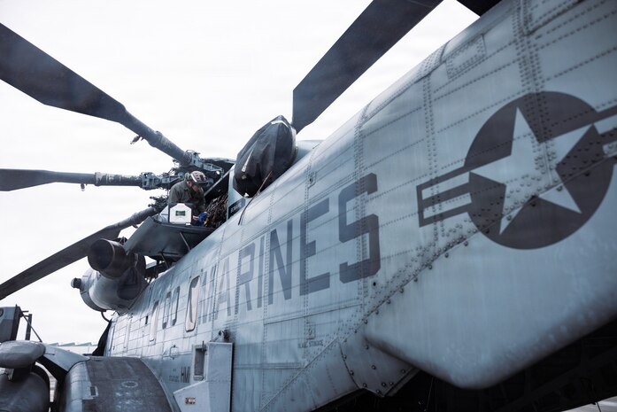 Condors of MCAS New River