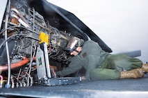 Condors of MCAS New River