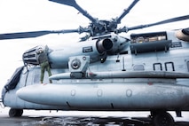 Condors of MCAS New River