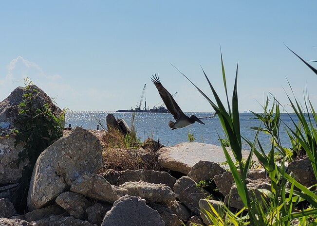 Picture of a pelican flying over the island.