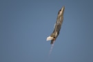 A U.S. Air Force F-35A Lightning II aircraft flown by the F-35 aerial demonstration team assigned to the 388th Fighter Wing at Hill Air Force Base, Utah, performs aerial maneuvers Nov. 15, 2025, over Al Maktoum International Airport in Dubai, United Arab Emirates. The fifth-generation stealth fighter rehearsed its performance prior to the Dubai Airshow 2025. (U.S. Air Force photo by Tech. Sgt. Justin Norton)