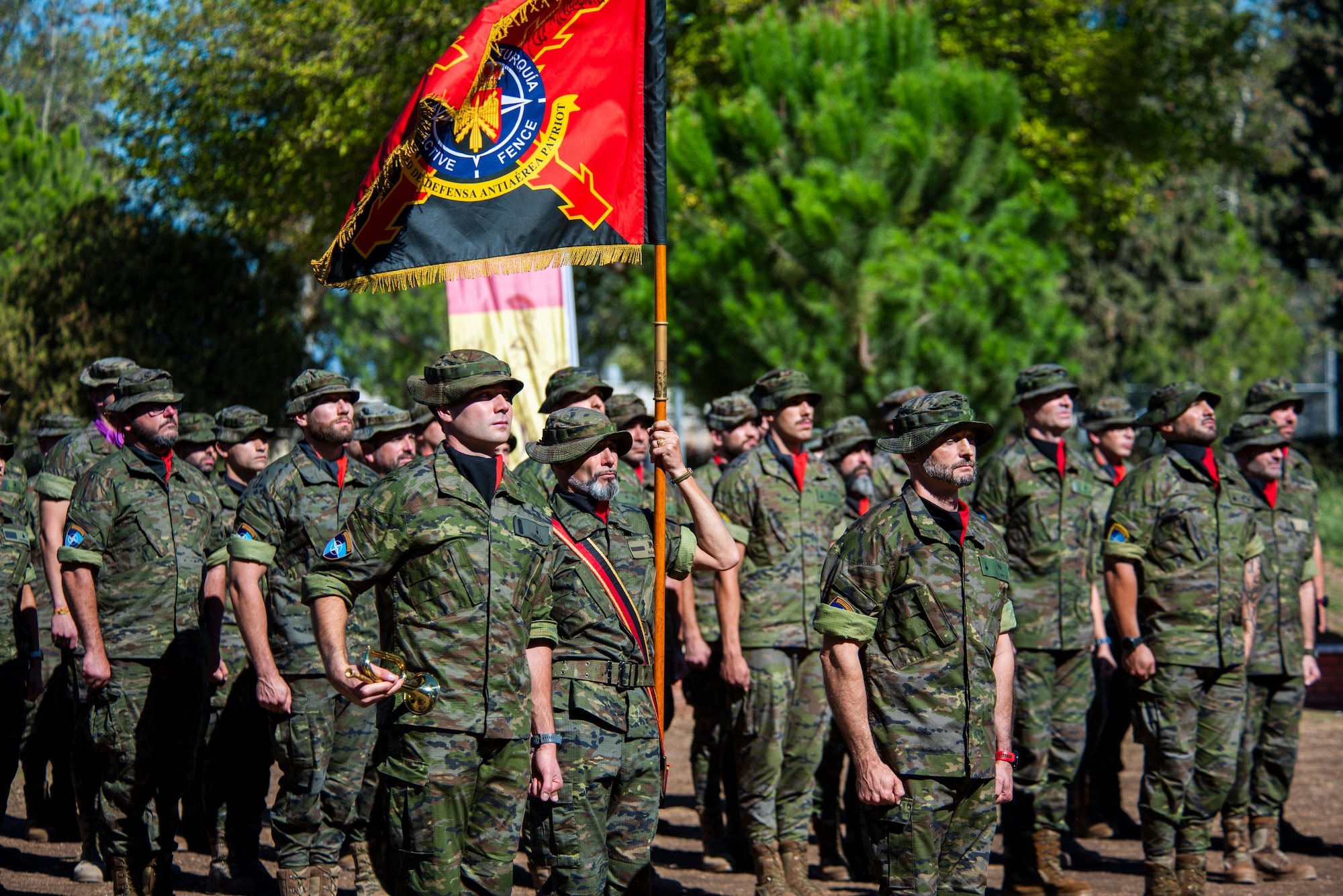 Spanish service members stand in formation