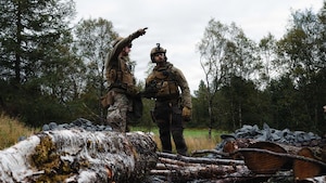 U.S. and Norway service members survey a barn preparing to inspect for explosives.