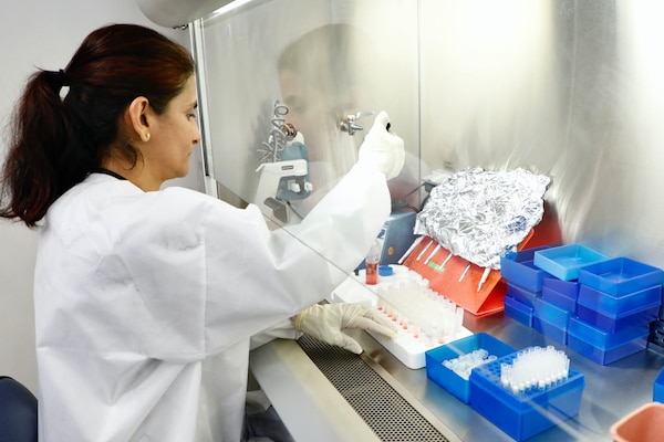 SILVER SPRING, Md. (Nov. 19, 2025) Harini Ganeshan, a researcher with Naval Medical Research Command (NMRC), transfers solution to smaller test tubes in the Agile Vaccines and Therapeutics (AVAT) laboratory. Researchers are currently conducting research to discover critical vaccine components for testing to develop a vaccine that will provide a line of defense against malaria. NMRC, headquarters of Navy Medicine Research & Development, is engaged in a broad spectrum of activity from basic science in the laboratory to field studies in austere and remote areas of the world to investigations in operational environments. In support of Navy, Marine Corps and joint U.S. warfighter health, readiness and lethality, researchers study infectious diseases, biological warfare detection and defense, combat casualty care, environmental health concerns, aerospace and undersea medicine, operational mission support and epidemiology. (U.S. Navy photo by Aleece Williams/Released)