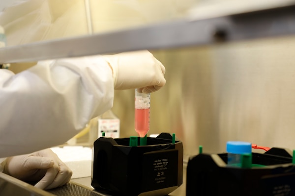 SILVER SPRING, Md. (Nov. 19, 2025) A researcher with Naval Medical Research Command (NMRC), places a solution in a centrifuge bucket in the Agile Vaccines and Therapeutics laboratory. Researchers are conducting studies to discover vaccine components that will support a nanoparticle vaccine model to create a preventative vaccine against infectious diseases. NMRC, headquarters of Navy Medicine Research & Development, is engaged in a broad spectrum of activity from basic science in the laboratory to field studies in austere and remote areas of the world to investigations in operational environments. In support of Navy, Marine Corps and joint U.S. warfighter health, readiness and lethality, researchers study infectious diseases, biological warfare detection and defense, combat casualty care, environmental health concerns, aerospace and undersea medicine, operational mission support and epidemiology. (U.S. Navy photo by Aleece Williams/Released)
