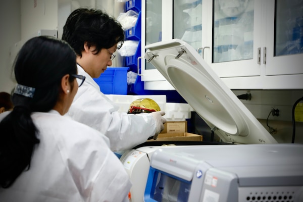 SILVER SPRING, Md. (Nov. 19, 2025) Sandra Inoue and Jun Huang, researchers with Naval Medical Research Command (NMRC), transfer a bucket into a centrifuge in the Agile Vaccines and Therapeutics laboratory. Researchers are testing a nanoparticle vaccine model that will move on to clinical trial testing following the successful completion of this study. NMRC, headquarters of Navy Medicine Research & Development, is engaged in a broad spectrum of activity from basic science in the laboratory to field studies in austere and remote areas of the world to investigations in operational environments. In support of Navy, Marine Corps and joint U.S. warfighter health, readiness and lethality, researchers study infectious diseases, biological warfare detection and defense, combat casualty care, environmental health concerns, aerospace and undersea medicine, operational mission support and epidemiology. (U.S. Navy photo by Aleece Williams/Released)