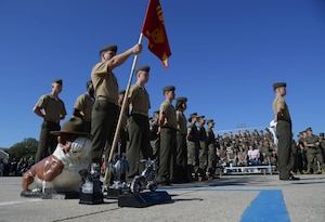A group of people wearing military uniform stands in formation while one man holds a guidon