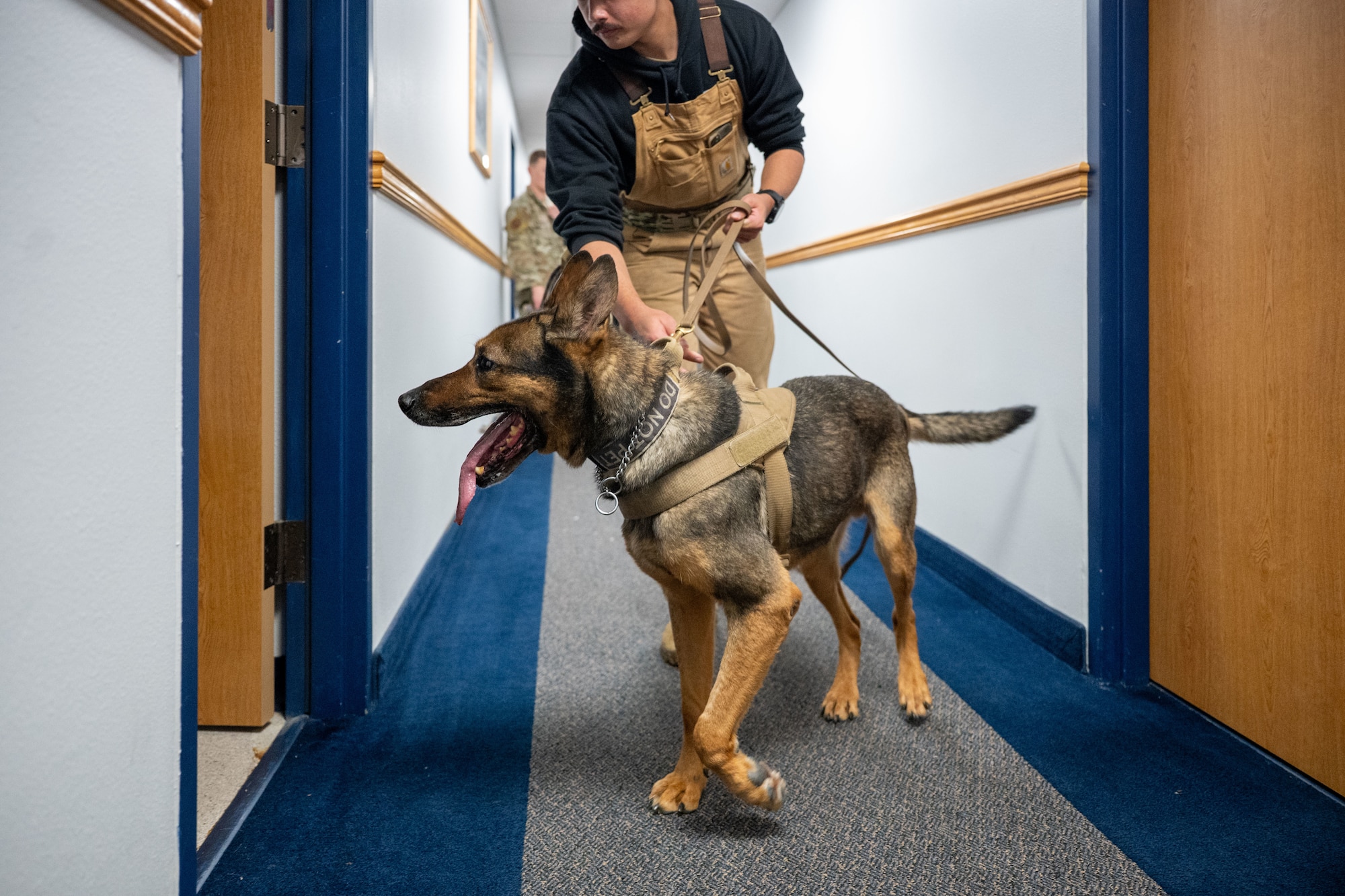 A man and a dog walk towards a dorm room.