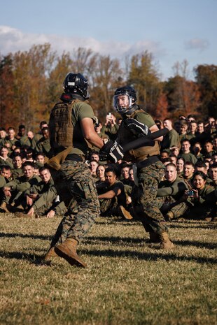 U.S. Marines with The Basic School, Training Command, compete in a weapons free-sparring event during a field meet at Marine Corps Base Quantico, Virginia, Oct. 31, 2025.  During the field meet, Marines with TBS participated in physical training and competitions to build camaraderie and celebrate the Marine Corps' 250th Birthday. (U.S. Marine Corps photo by Cpl. Joshua Barker)