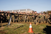 U.S. Marines with The Basic School, Training Command, compete in a tug-of-war during a field meet at Marine Corps Base Quantico, Virginia, Oct. 31, 2025.  During the field meet, Marines with TBS participated in physical training and competitions to build camaraderie and celebrate the Marine Corps' 250th Birthday. (U.S. Marine Corps photo by Cpl. Joshua Barker)