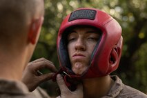 Lima Company Crucible