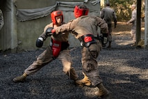 Lima Company Crucible