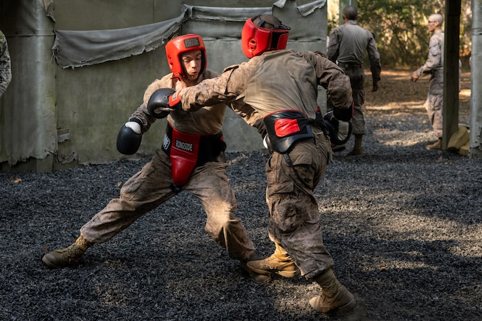 Lima Company Crucible