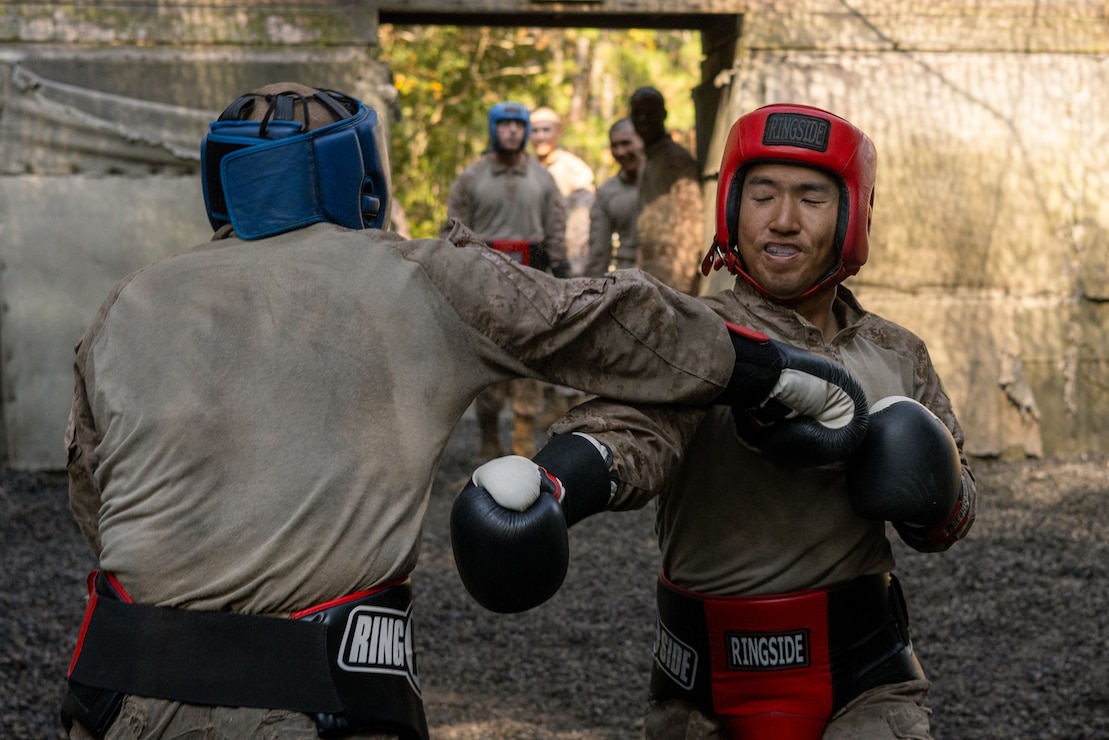 Lima Company Crucible