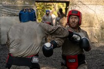 Lima Company Crucible