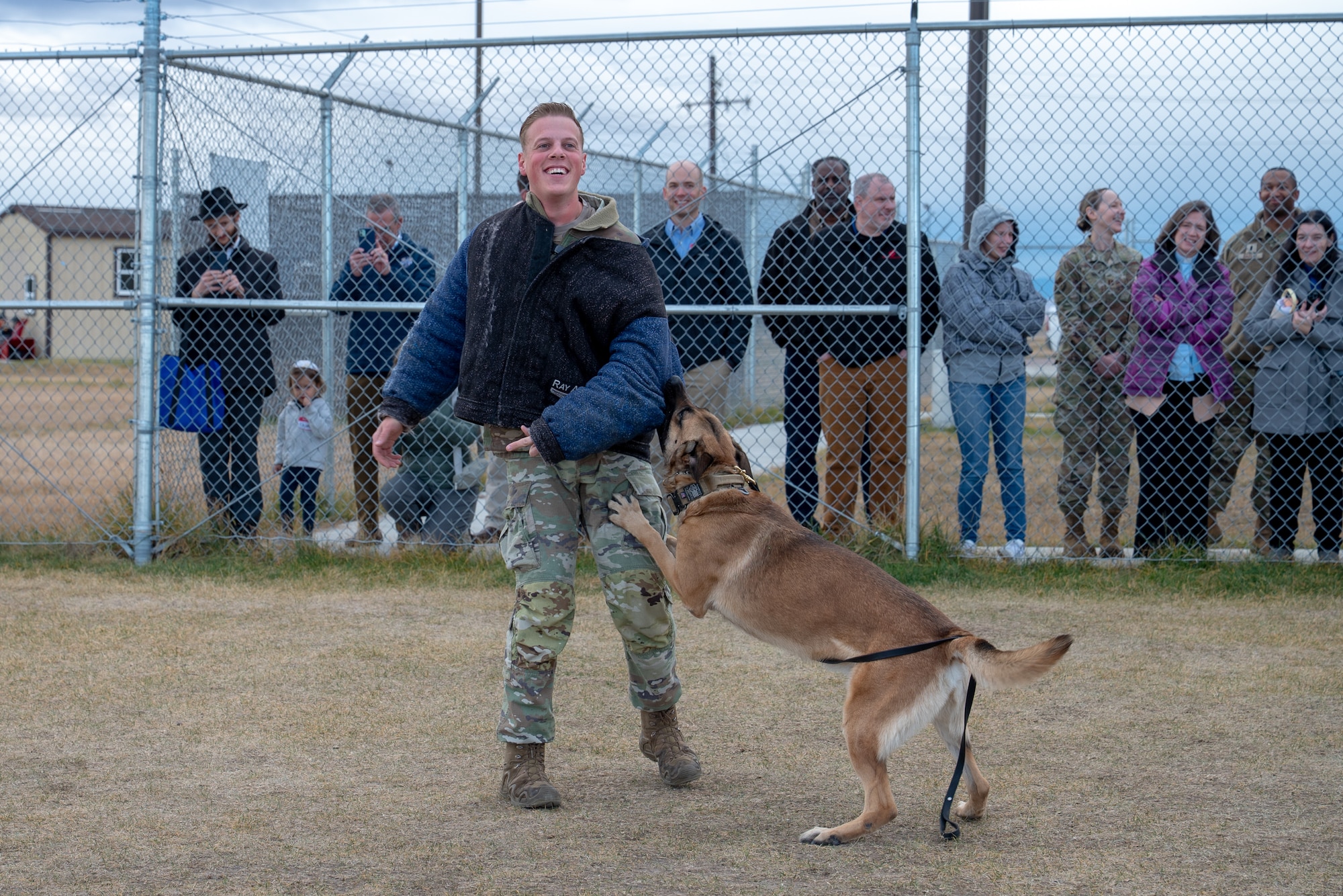Military dog bites Uniformed personnel