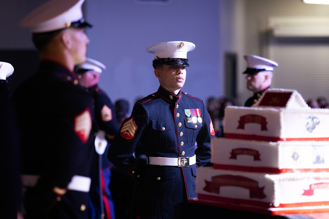 U.S. Marine Corps Sgt. Bryan McDougall of Coral Springs, Florida, stands beside a ceremonial cake during the 250th Marine Corps birthday ball ceremony hosted Nov. 21 by Blount Island Command at Deerwood Castle in Jacksonville, Florida. As the youngest Marine present, McDougall, 21, received a piece of cake from the oldest Marine present, James Whitlow, 70, a retired master gunnery sergeant with 33 years of service. The presentation signifies the passing of experience and knowledge. (Official Marine Corps photo by Dustin Senger)