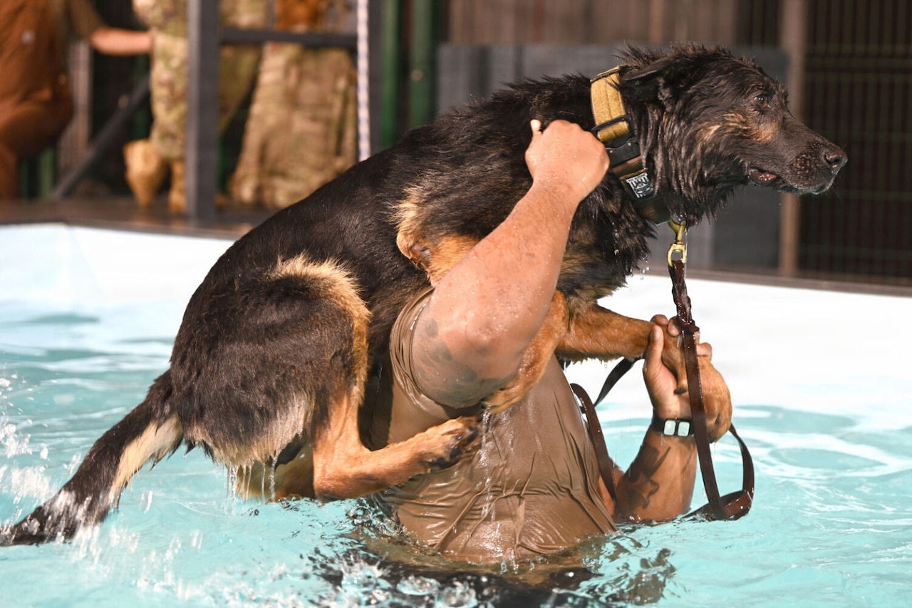 A man holds a dog on his shoulder while walking in a pool.