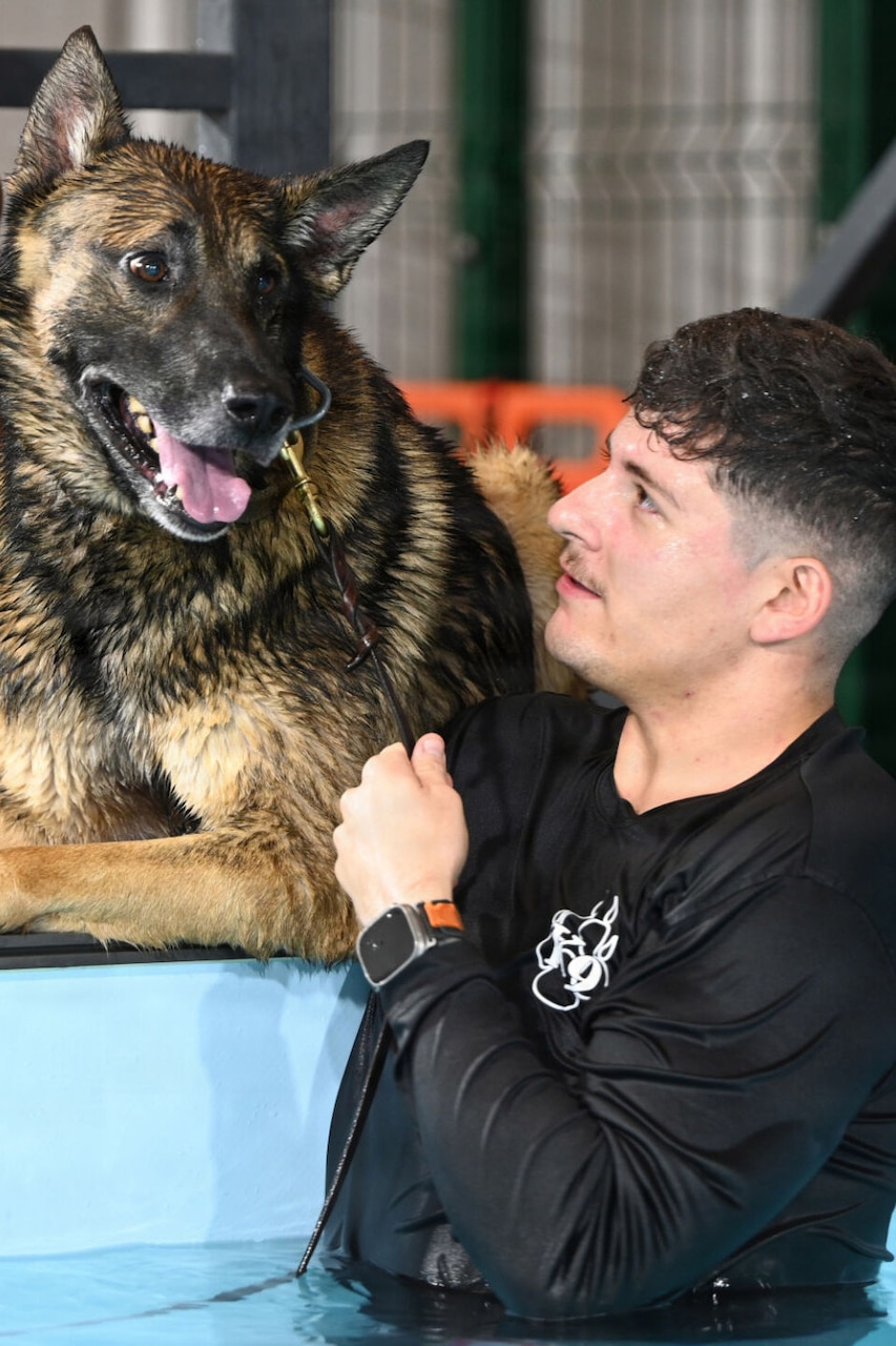 A man standing in a pool holds a wet German shepherd by the collar as the dog lies just outside of the pool.