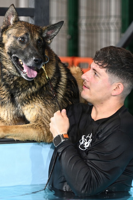 A man standing in a pool holds a wet German shepherd by the collar as the dog lies just outside of the pool.