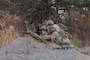 The weapons squad from C Co. 4-9 Infantry engages designated targets during a platoon live fire exercise at the Rodriguez Live Fire Complex in South Korea.