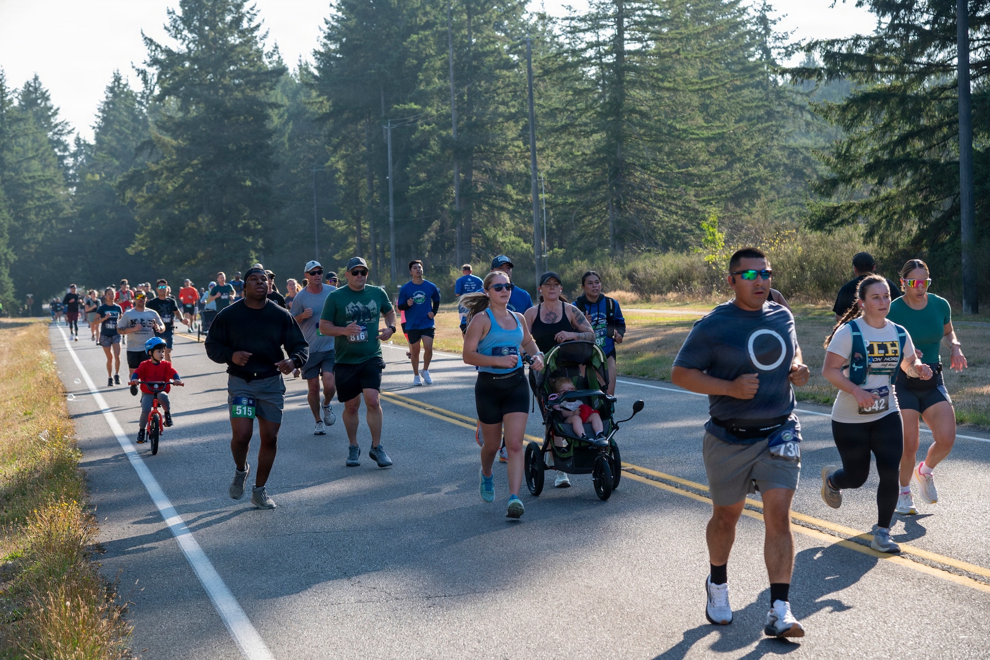 various adults jogging mid-run during a marathon on a street with large pine trees in the background