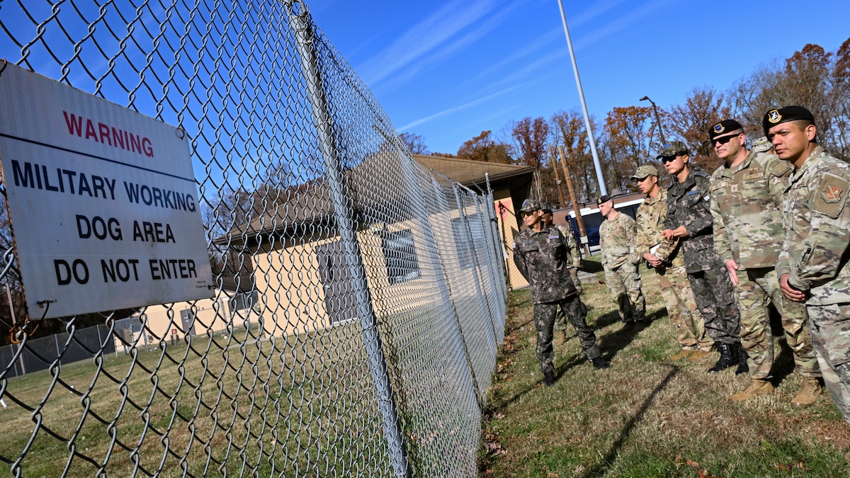 U.S. Air Force and Republic of Korea Air Force military police leadership watch a 316th Security Forces Group military working dog demonstration at Joint Base Andrews, Maryland.