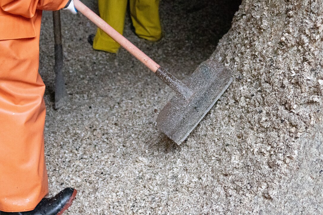 Seattle District teammates scrape barnacles from one of the large lock culverts at at the Hiram M. Chittenden Locks, an annual event which prevents injury to migrating fish.