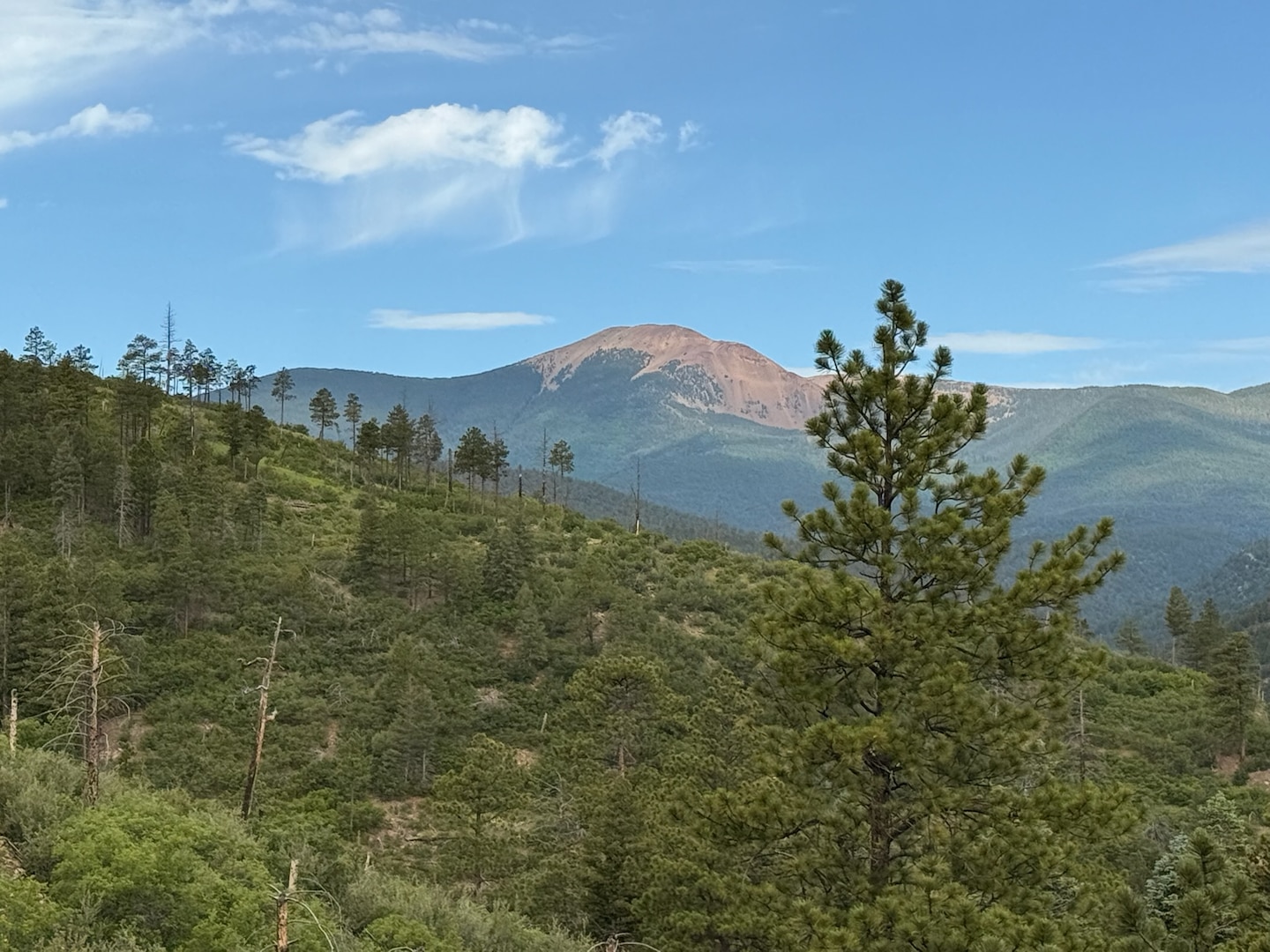Photo of Mt. Baldy in Cimarron, New Mexico