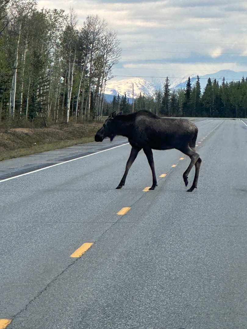 Soldiers from the Illinois Army National Guard’s 333rd Military Police Co.