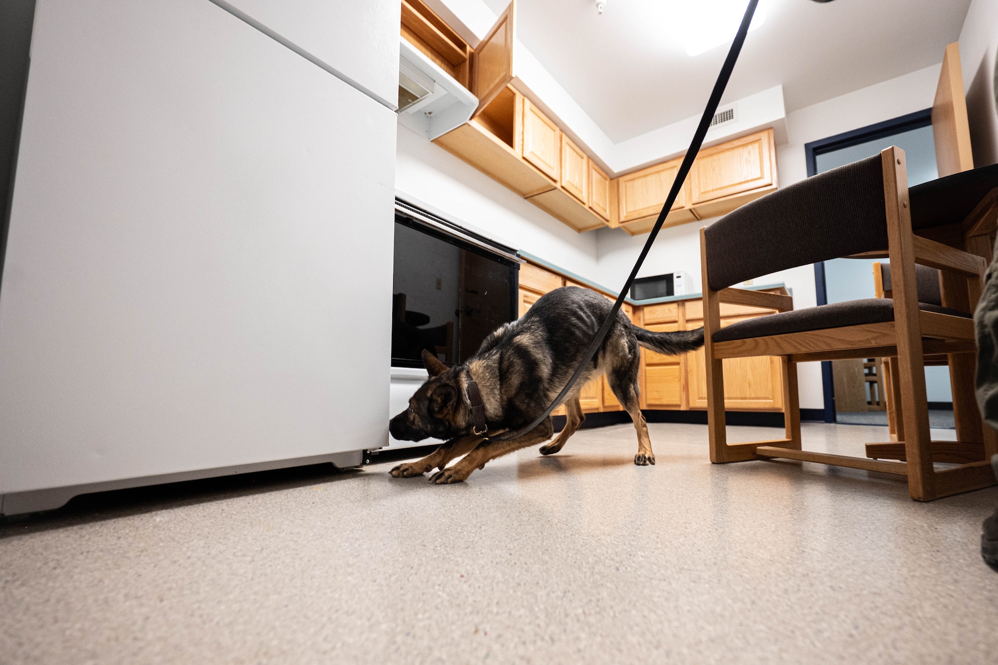 A dog looks under a fridge.