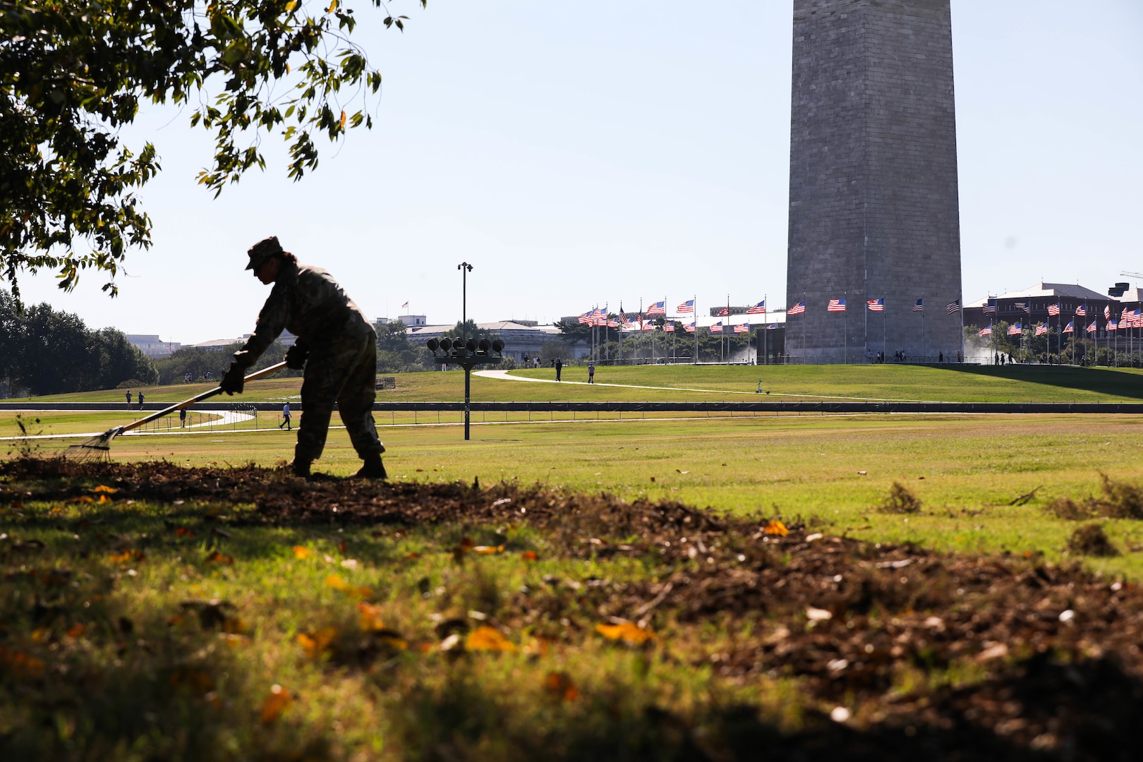 A U.S. Soldier with the District of Columbia Army National Guard rakes mulch during an area beautification mission in Washington, D.C., Sept. 4, 2025. About 2,300 National Guard members are supporting the D.C. Safe and Beautiful mission providing critical support to the D.C. Metropolitan Police Department in ensuring the safety of all who live, work, and visit the District.