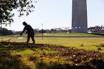 A U.S. Soldier with the District of Columbia Army National Guard rakes mulch during an area beautification mission in Washington, D.C., Sept. 4, 2025. About 2,300 National Guard members are supporting the D.C. Safe and Beautiful mission providing critical support to the D.C. Metropolitan Police Department in ensuring the safety of all who live, work, and visit the District.
