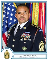 command sergeant major, leadership, 1/3 battalion, TOG, One Legion